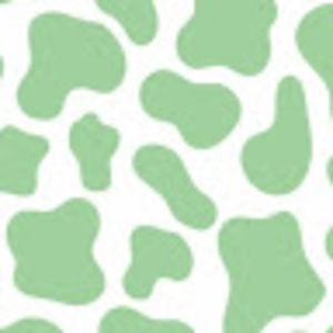 Meet your Posher, Nevaeh